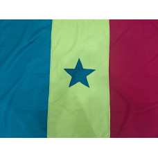 Bandeira do Senegal